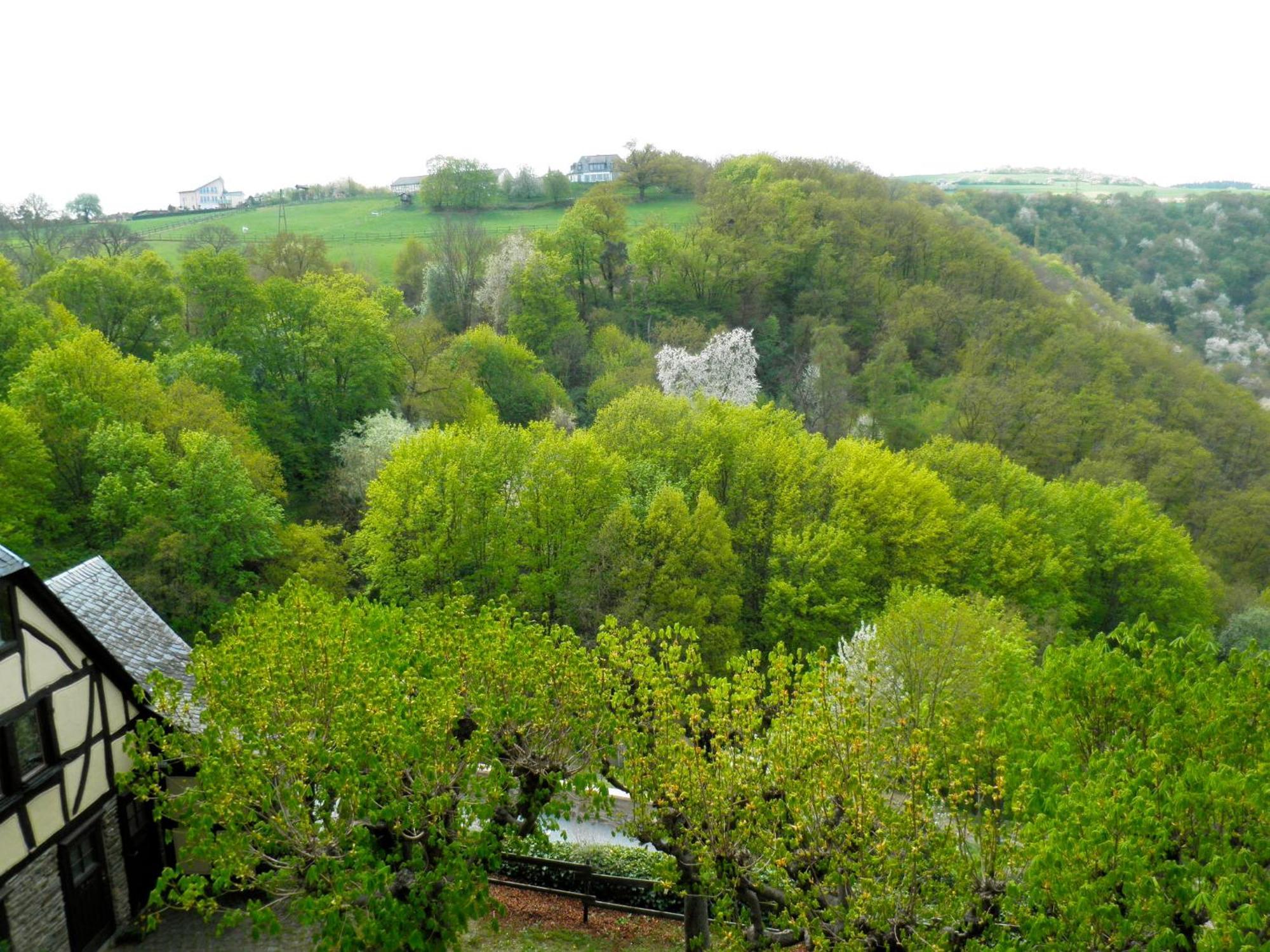 Burghotel Auf Schoenburg โอเบอร์เวเซิล ห้อง รูปภาพ